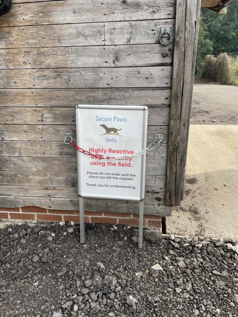 1468 60b3f49a0601bdeedf546a737b77e10e 1 768x1024