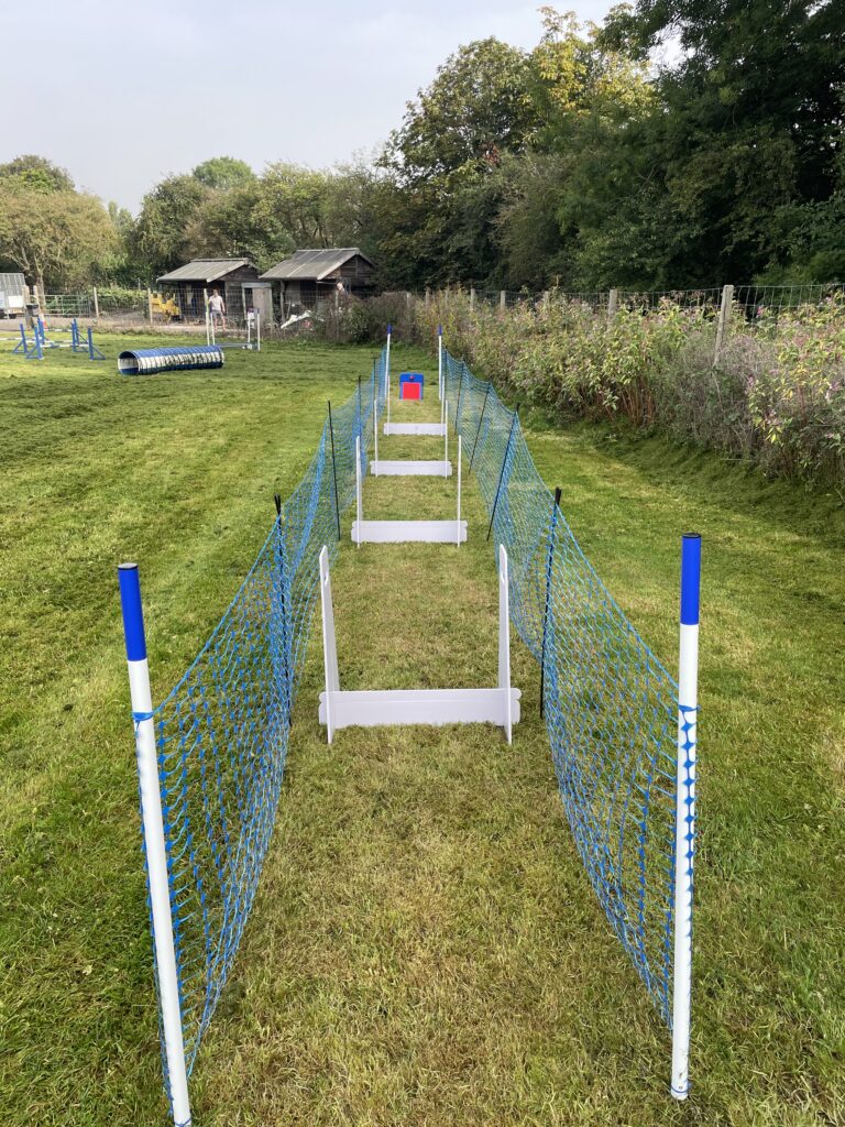 1468 a04aefbdd7a5e8486830875ad27f5c94 1 768x1024