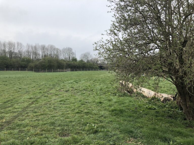 1468 e1af1204baf4707d156af8de66b4ee11 1 768x576