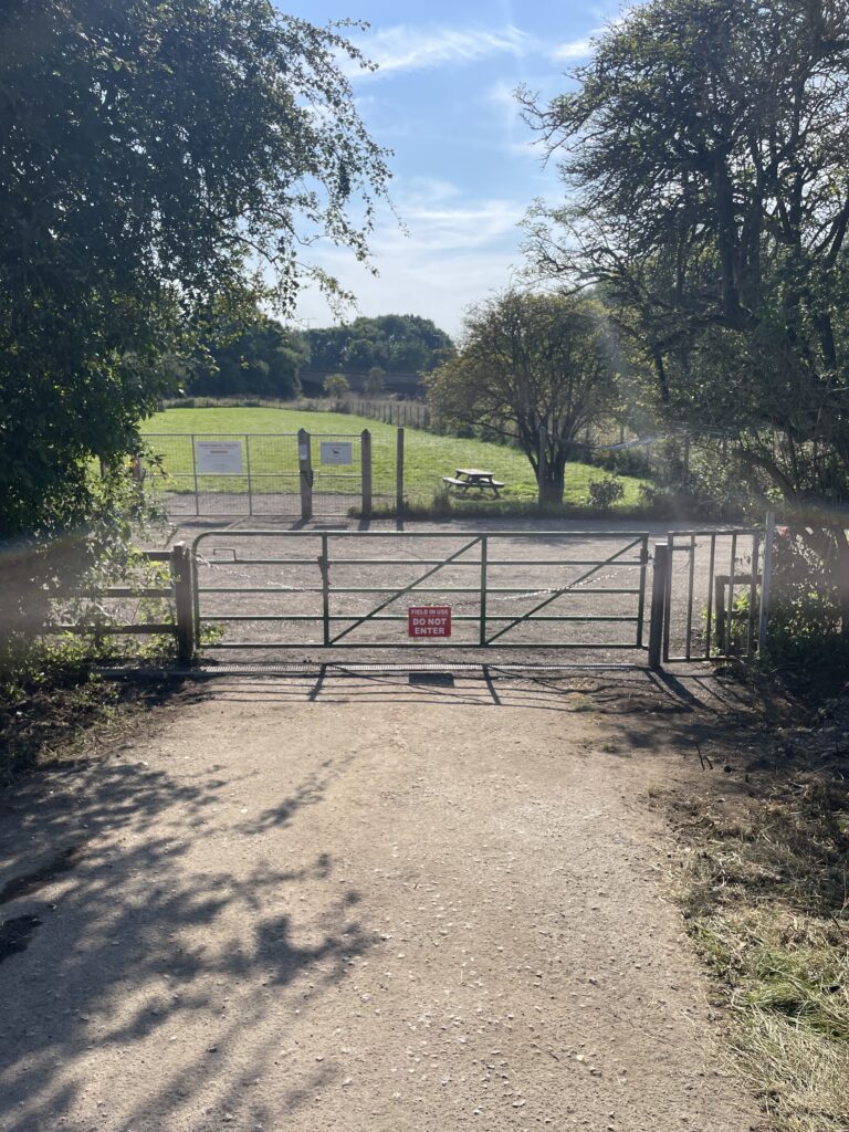 1468 e480a0d9ee98733dc81bd21f26a72c07 1 768x1024