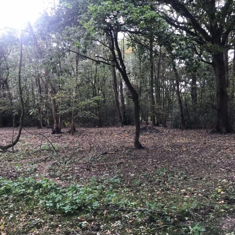 1470 89d787ba5b53f98cc1be2f1cf4a4bd60 1 768x768