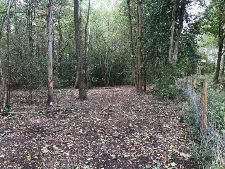 1470 8c479af5abc8e66c603cca21b9668895 1 768x576