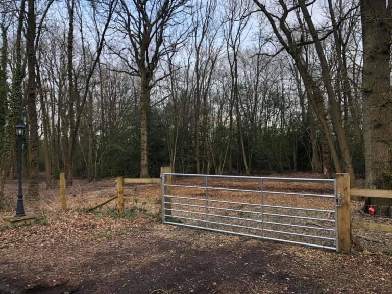 1470 da0269ad005f9286fad8f0513b5eb7a4 1 768x576