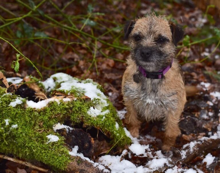 1470 e5c95b272d44f7f6ad0bab97e5a26000 1 768x606