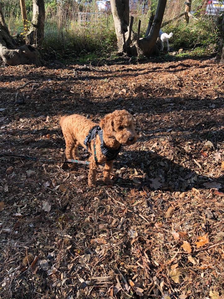 1470 f7defe0d9068bbf75ab0442fd9806010 1