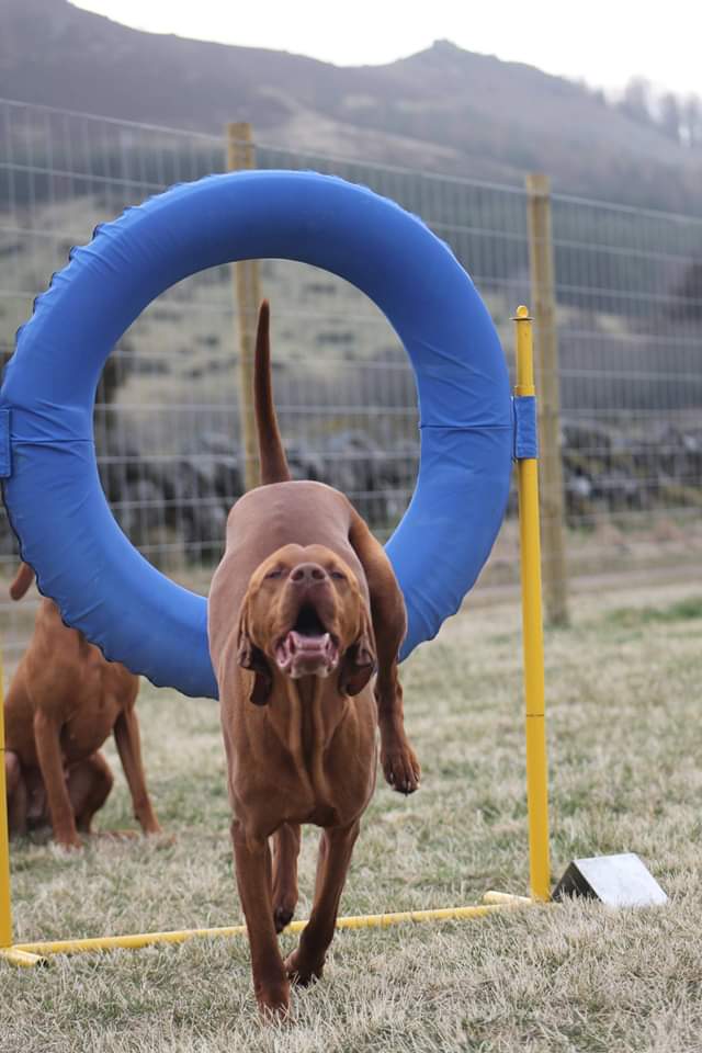 1471 1010cfa33967cbf7ab4efe70a4a49491 1