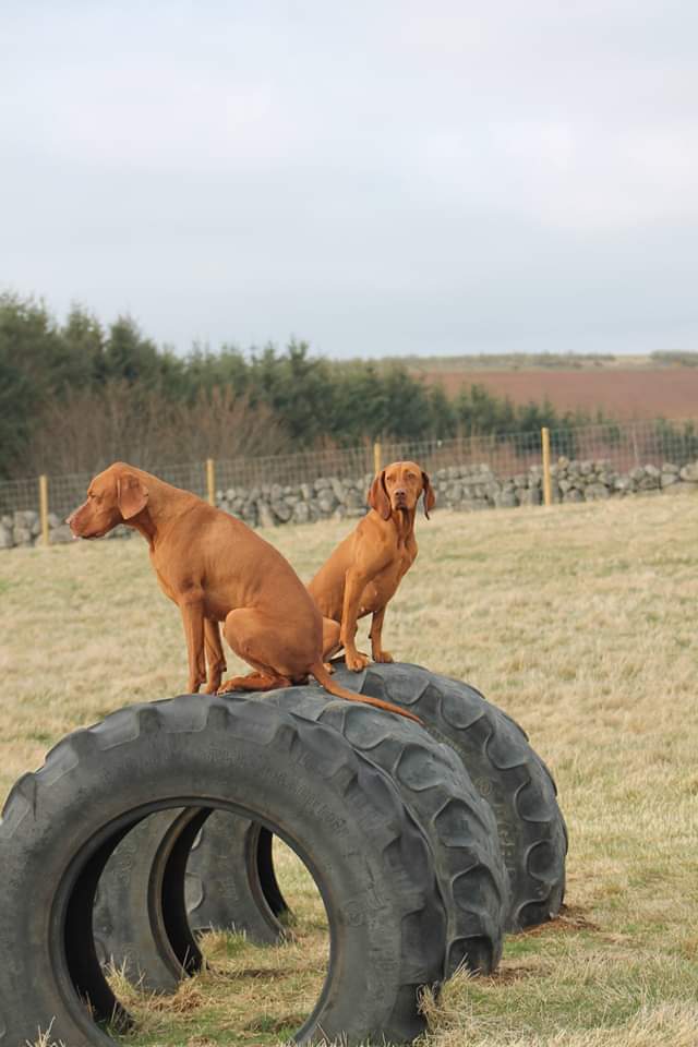 1471 1d44045c05fe7b3657b9d8453a14fdf1 1