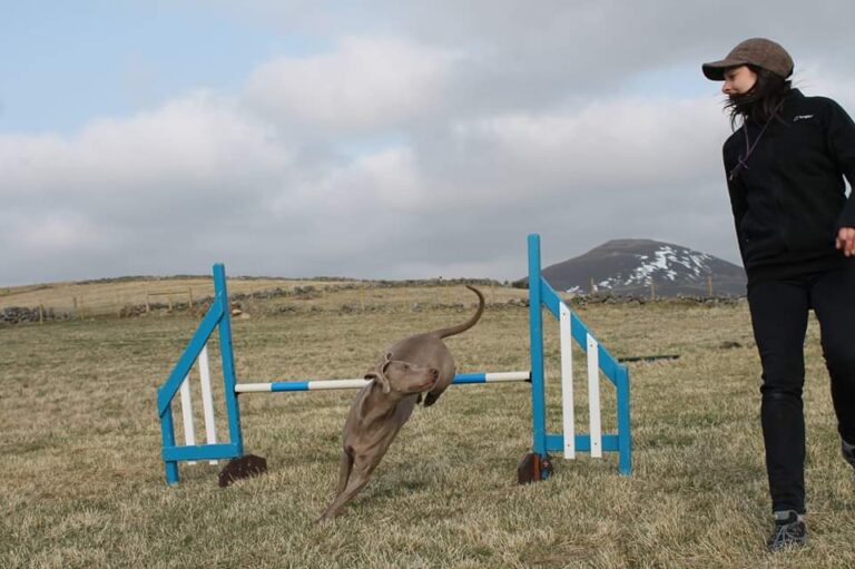 1471 2d8ef363ed130e0f343d5b0a5ef2c873 1 768x511