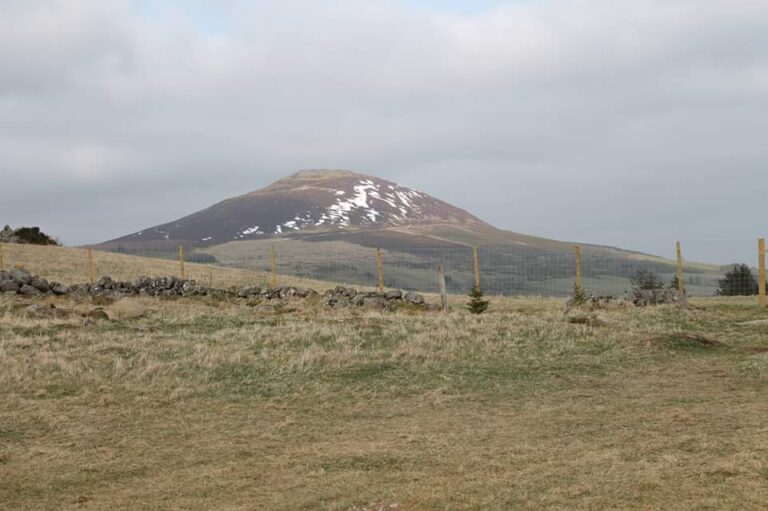 1471 379b8fe2a6682f7a1096a9a546011cb1 1 768x511