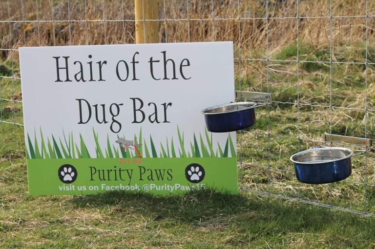 1471 45e40e993647bc49f9bc33d20e5f4a7a 1 768x511