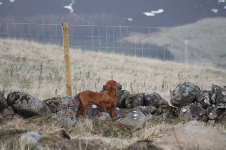 1471 68ce3d00d0afead0ea4f614286b878f8 1 scaled 768x512