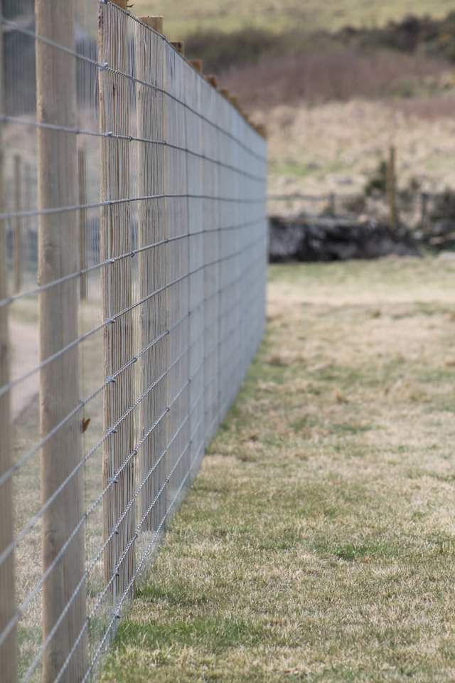 1471 6962b5628066063f22785660afcab4d6 1