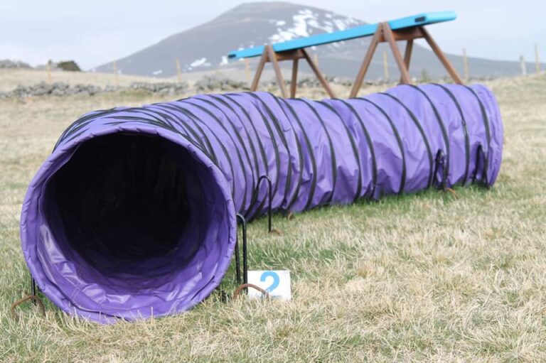 1471 71e7813f4c9c26559d24260985d74b94 1 768x511