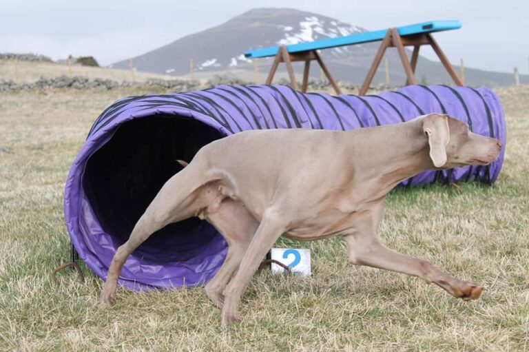 1471 7c4f54cfcc5492478d90b31f1e74daa4 1 768x511