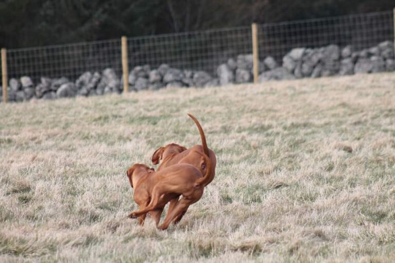 1471 863b529d8ecae3c77a3f968bcfa0d3cf 1 768x511