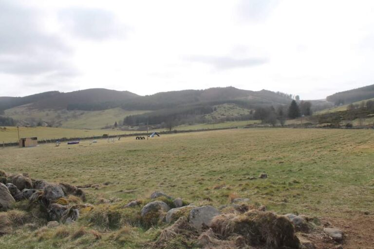 1471 98749a6be25e28d17a83cae8a4b78e6e 1 768x511