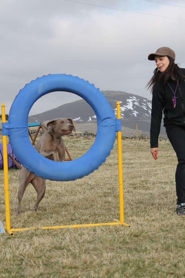 1471 a8c03d6bbcc3aa0dc00f571134160b37 1