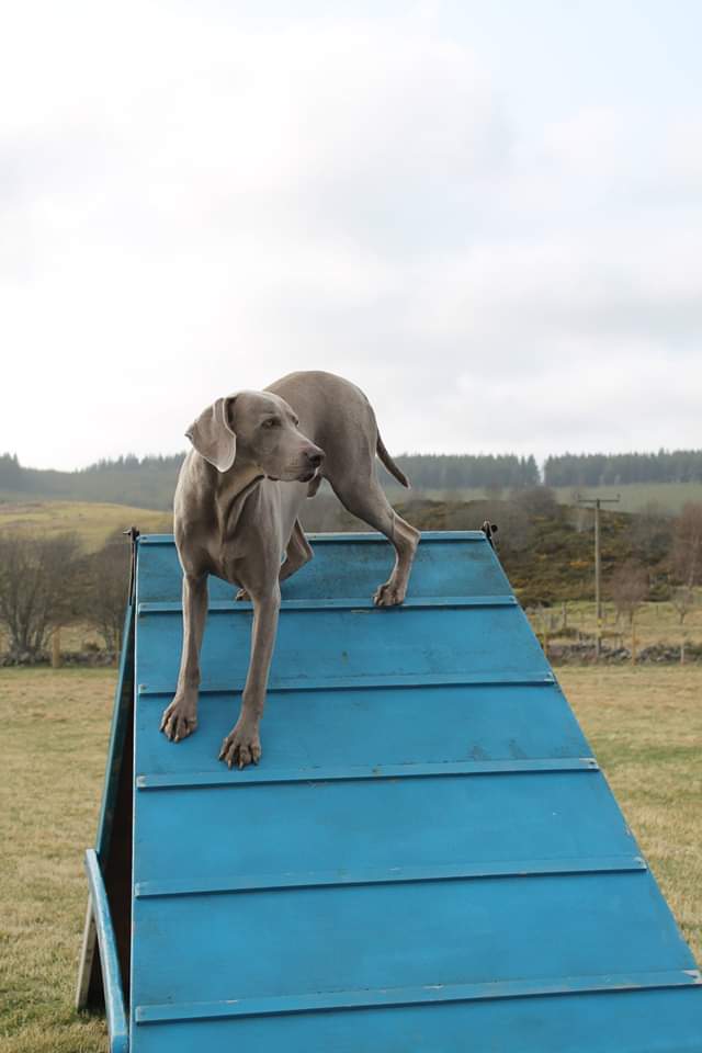 1471 f20a70a722c7ff5c678322996d186049 1