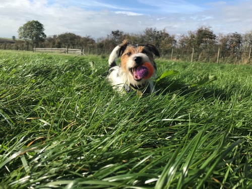 1472 00f30b1f3c981fa7c918d3c4bfdc1883 1