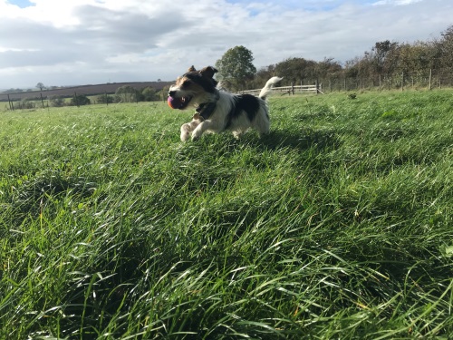 1472 5285646d12aaee3fa3b2aef4ecfcd8cc 1