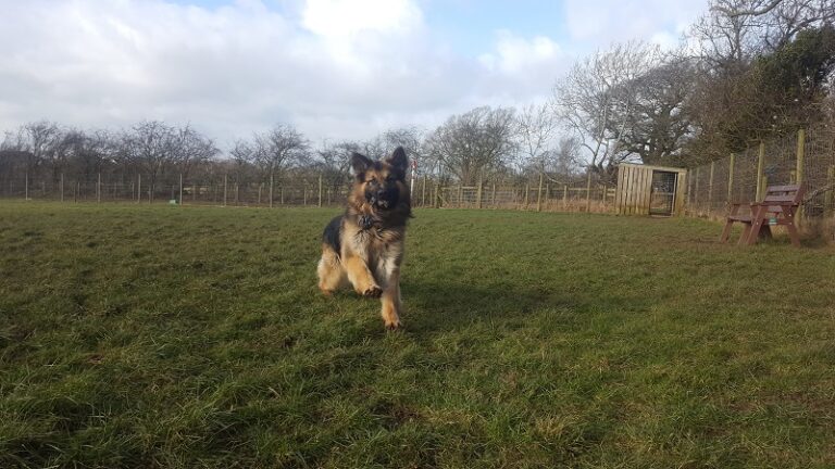 1472 8b4c299ad1fcdf6f7e10649d8d35237d 1 768x432