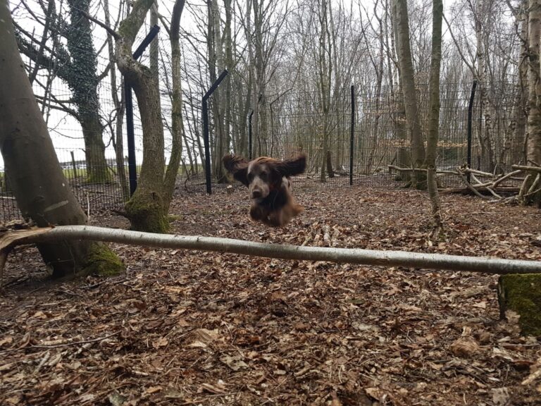 1472 bd5a14245e5f43b4c9ea99c37aa63c97 1 768x576