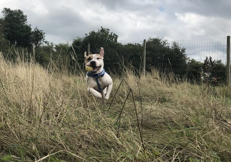 1472 d9ec719db72883ec6f7bf547cc9aa5a6 1 768x540