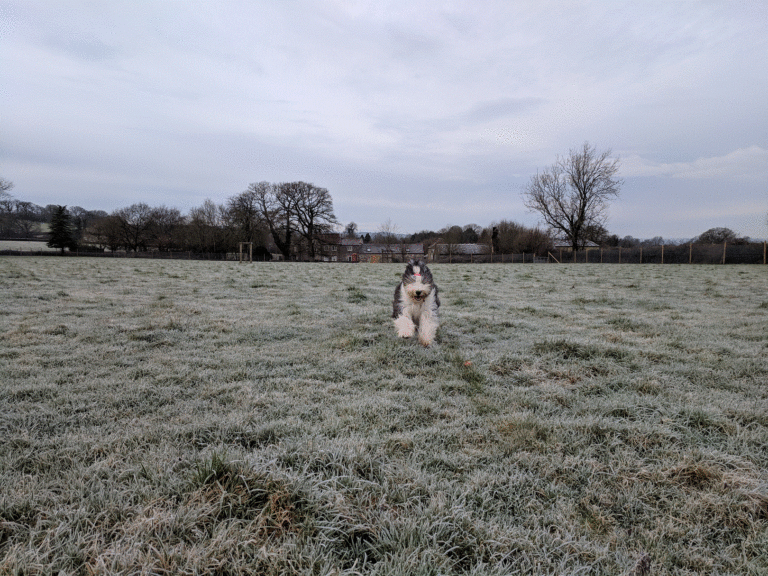 1474 7b98c188e5a4a4f6f84e6a649aa130d0 1 768x576