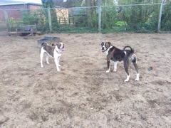 1476 05809bd57fcc16a1364cb2c5529431f8 1