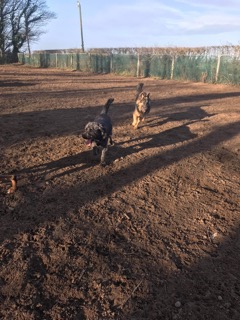 1476 87efc6cb5f61efeed532350844c9f347 1