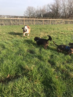 1476 8943ca8cd637537faa89180e01920e55 1