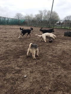 1476 b29b589d94be3778c5446d9280c2e1f4 1