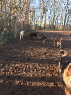 1476 b53e21cf3421ea4a75e87954a375df85 1