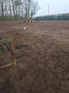 1476 b805334f3f0dd816e6913706a8f53823 1