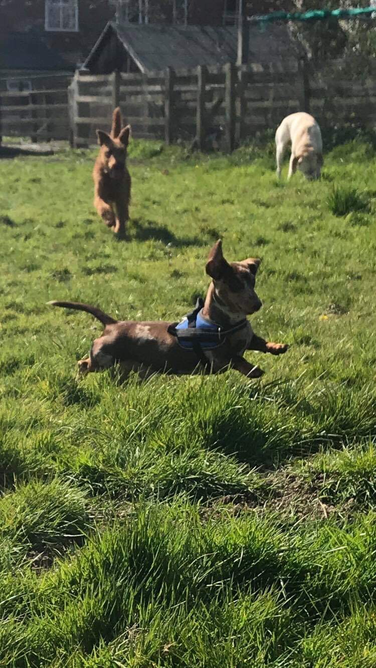 1476 cf530270f92fcae309128e7e55acb68f 1