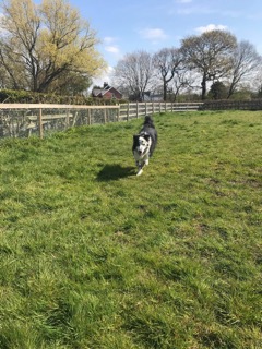 1476 f68e0a60bd06e03b5a40be103f63b2ee 1