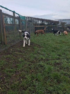 1476 fefaec7184513788422e3da47f935c62 1