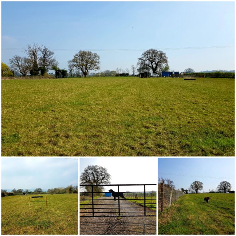 1477 f6aa59f1f8bac45da526de53893e3e16 1 scaled 768x768