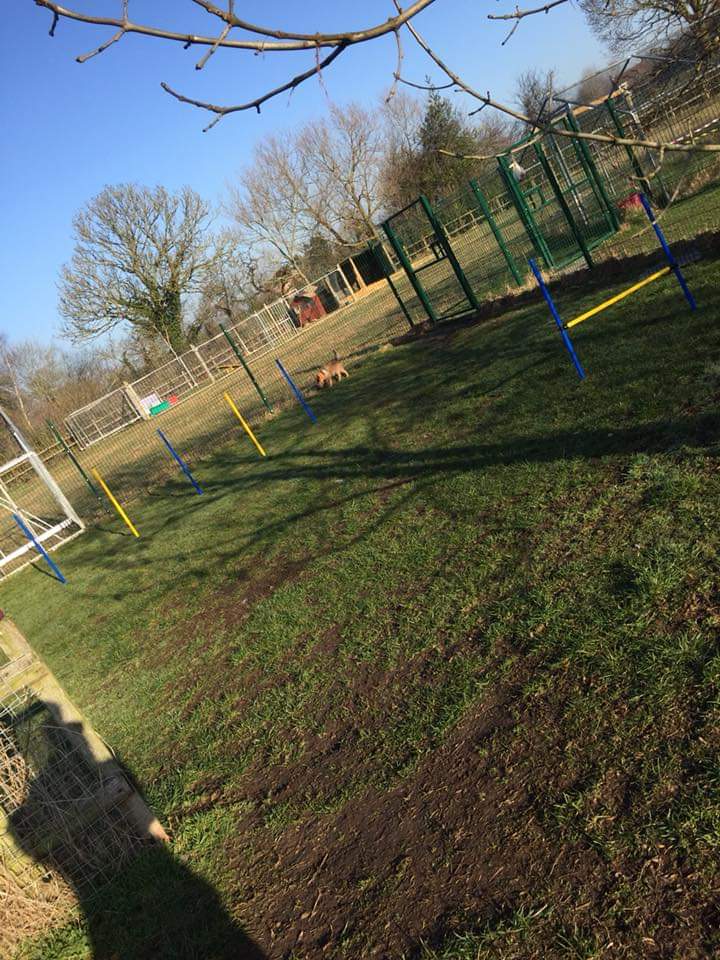 1478 49d95c1c98ab181fff3f5978f463056c 1