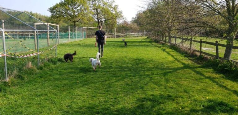 1478 7593af44445b409ab923cb7f482d376d 1 768x373