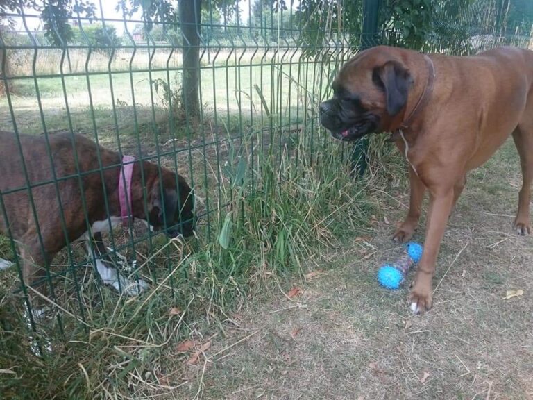 1478 ae473f77ec15dae5235fa19cccbfc0b4 1 768x576