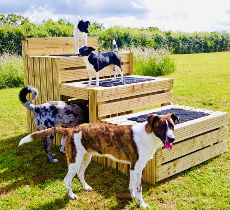 1485 3db882a91b5455127fea3fe518308dfd 1 768x701