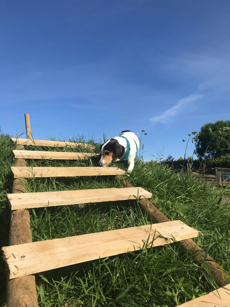 1485 48ad71bc6e1db02cbb7cc2e62c7fc3cd 1 768x1024