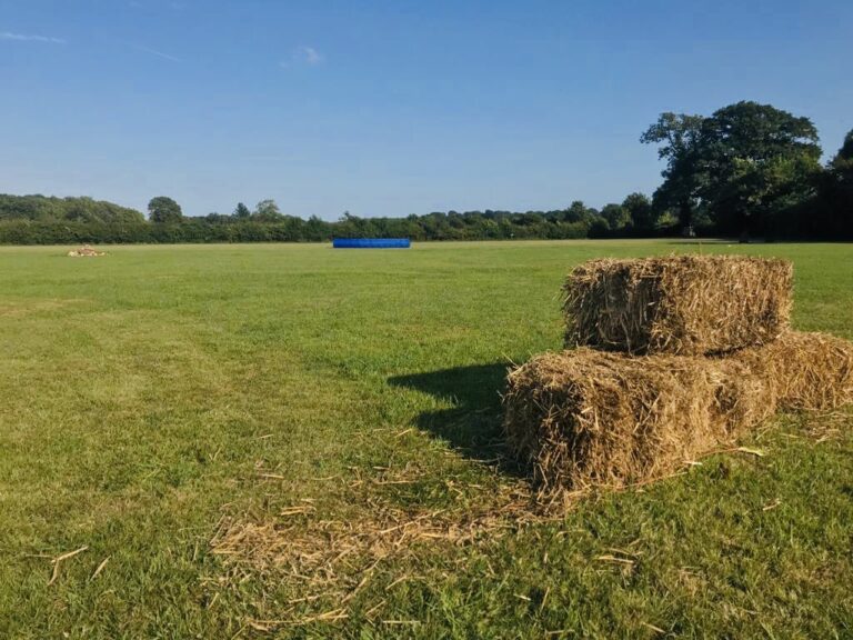 1485 516892aab9d068f79d3cdc7632ae76be 1 768x576