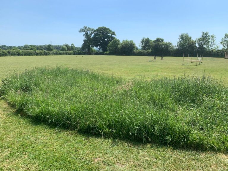 1485 7a13ffa6b3bb2c1e97bf228dfeb76139 1 768x576