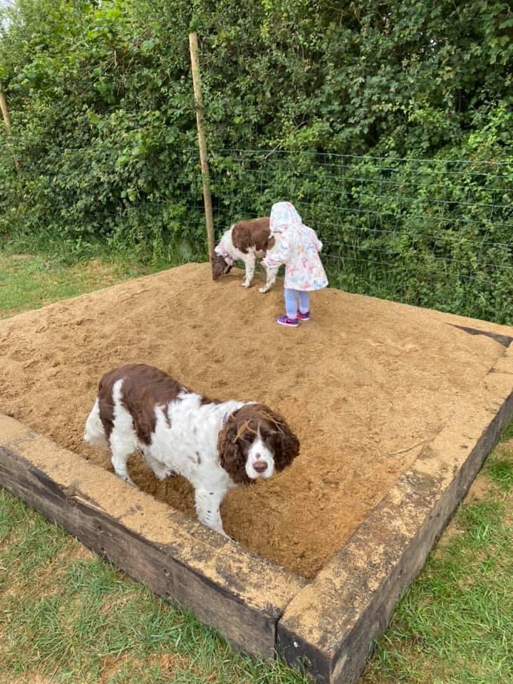 1485 ed5f66bf8d53a29f59e8849fe9a9edfa 1