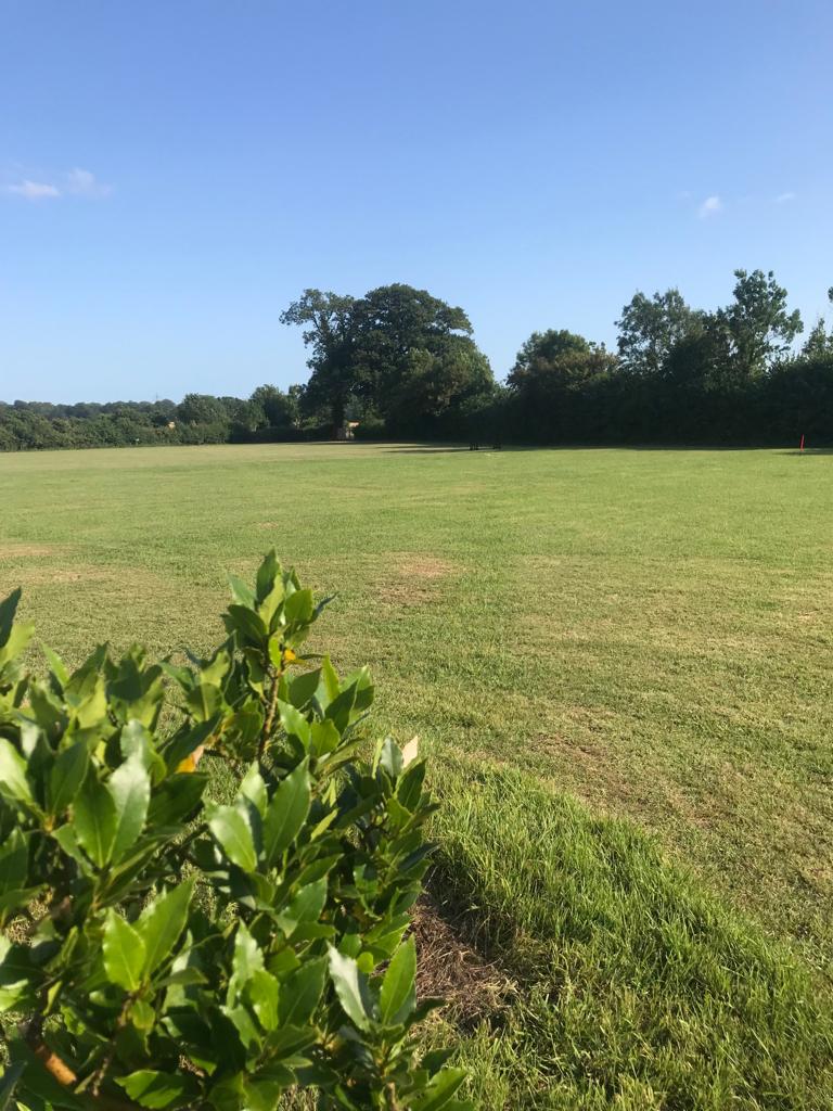 1485 ff50c47bdb5a8450aa0612aedb2ad69d 1