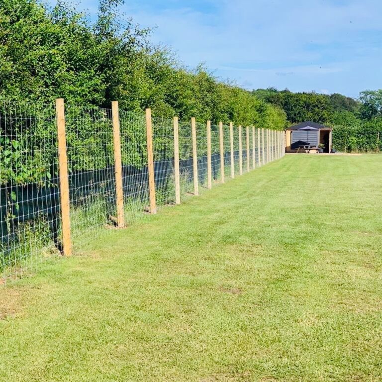 1485 ff9ce5721803f81bed2dd67c9e8041da 1 768x768