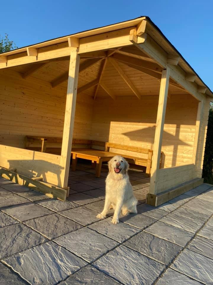 1485 ffd1c94ce681547f51b77d8b478022c8 1