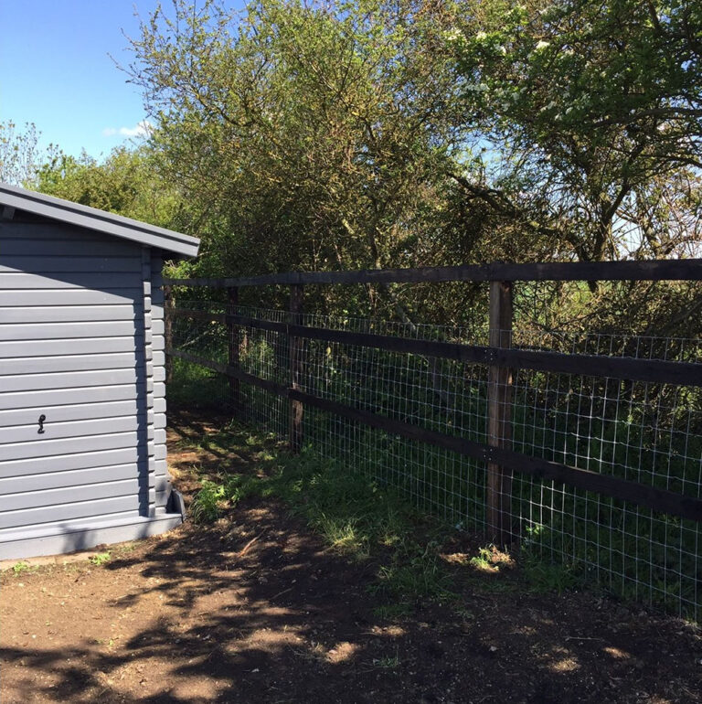 1486 2911572d608870016d836521eed7df67 1 768x770